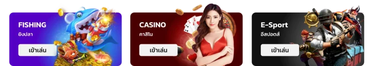 ปุ่มเกม